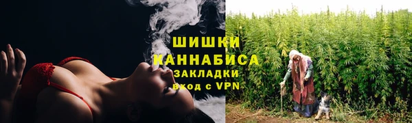 прущие грибы Арсеньев