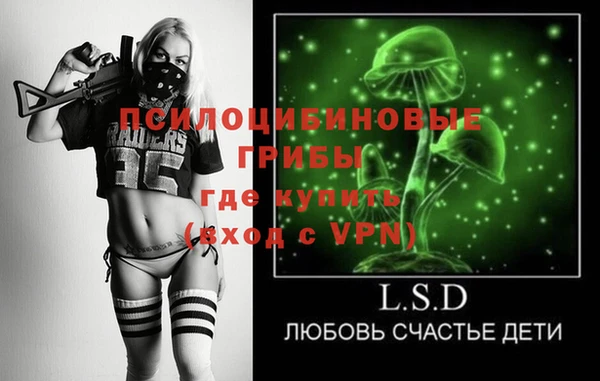 прущие грибы Арсеньев