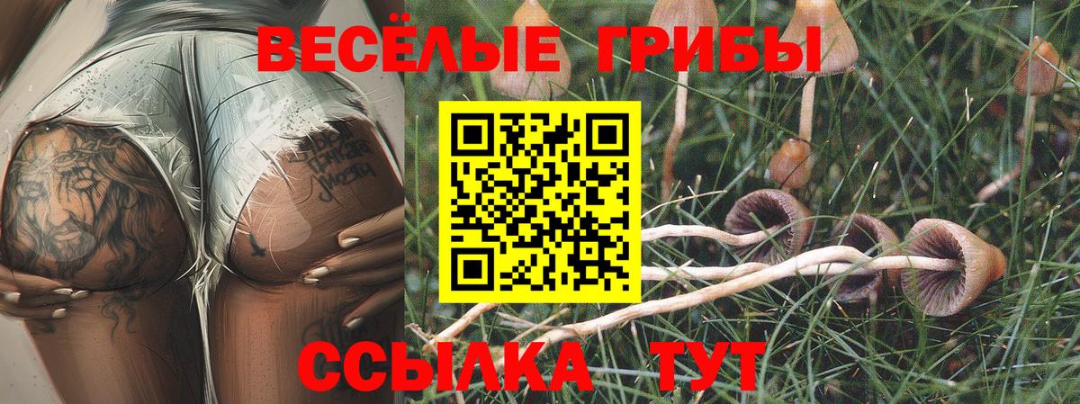 Псилоцибиновые грибы Psilocybe  Белорецк 